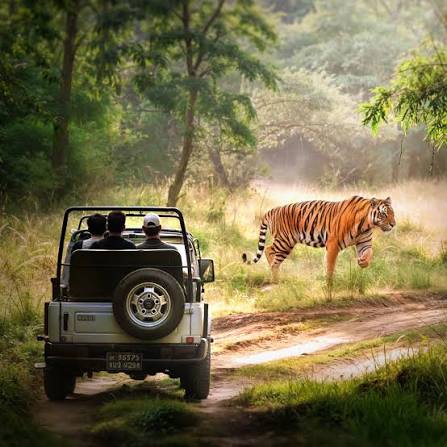 Jim Corbett