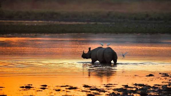 Assam